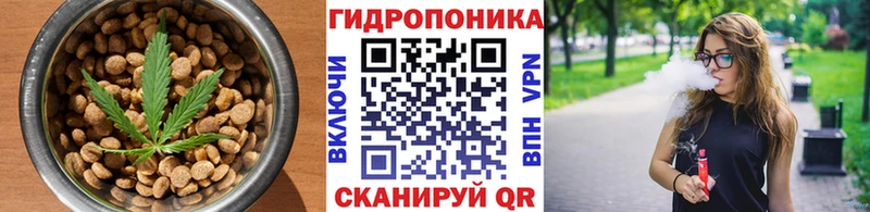 omg как войти  Анапа  Cannafood марихуана 