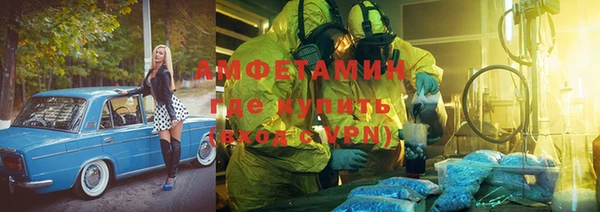 шишки Алексин