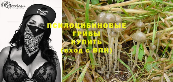 шишки Алексин